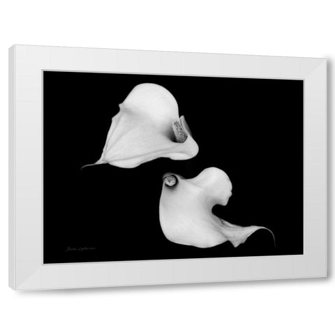 Elegant Calla IV White Modern Wood Framed Art Print by Catterall, Elise
