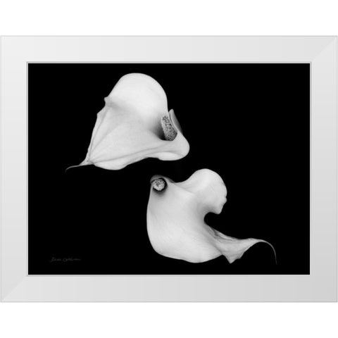 Elegant Calla IV White Modern Wood Framed Art Print by Catterall, Elise
