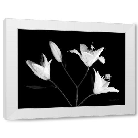 Spray of Lilies White Modern Wood Framed Art Print by Catterall, Elise