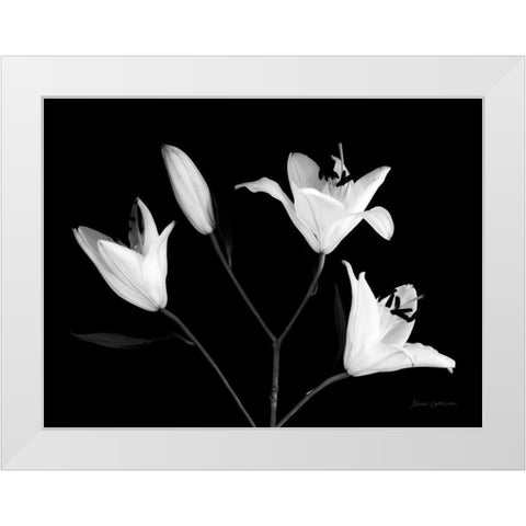 Spray of Lilies White Modern Wood Framed Art Print by Catterall, Elise