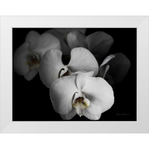 White Orchid I White Modern Wood Framed Art Print by Catterall, Elise