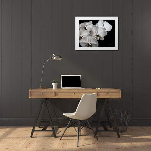 White Orchid II White Modern Wood Framed Art Print by Catterall, Elise