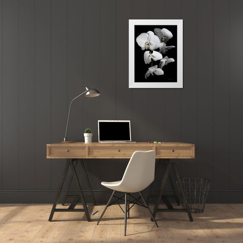 White Orchid III White Modern Wood Framed Art Print by Catterall, Elise