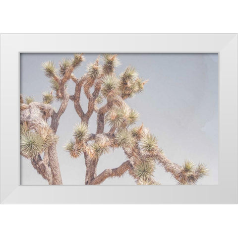 Desert Floral I White Modern Wood Framed Art Print by Urquhart, Elizabeth
