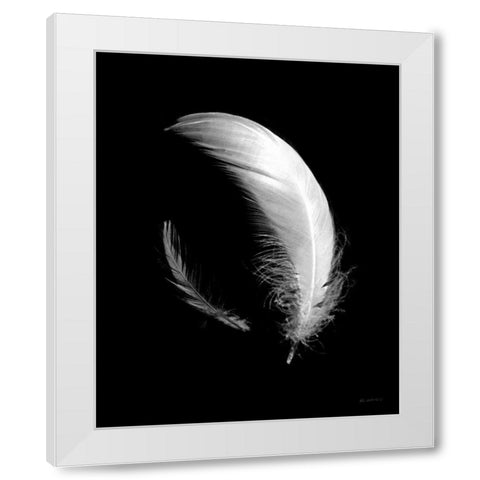 Dream Feathers White Modern Wood Framed Art Print by Goldstein, Ed