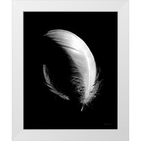 Dream Feathers White Modern Wood Framed Art Print by Goldstein, Ed