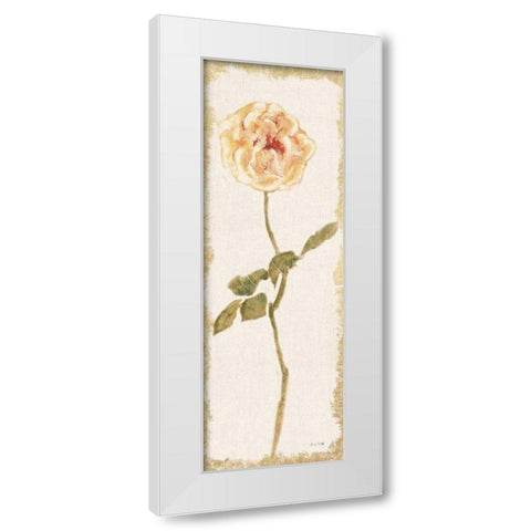 Pale Rose Panel Light White Modern Wood Framed Art Print by Blum, Cheri