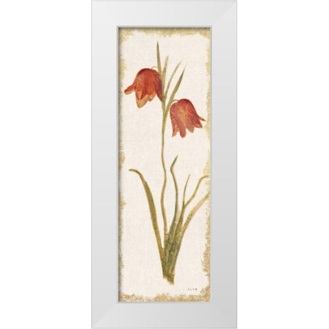 Red Tulip Panel Light White Modern Wood Framed Art Print by Blum, Cheri