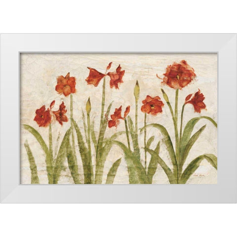 Row of Red Amaryllis Light White Modern Wood Framed Art Print by Blum, Cheri