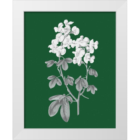 Green Botanical III White Modern Wood Framed Art Print by Wild Apple Portfolio
