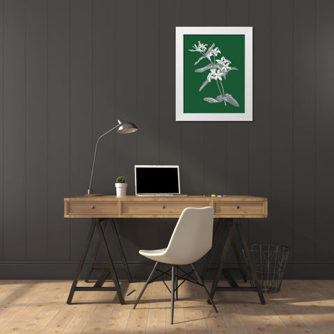 Green Botanical IV White Modern Wood Framed Art Print by Wild Apple Portfolio