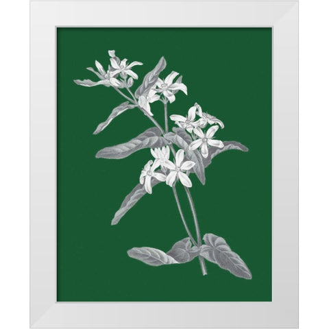 Green Botanical IV White Modern Wood Framed Art Print by Wild Apple Portfolio