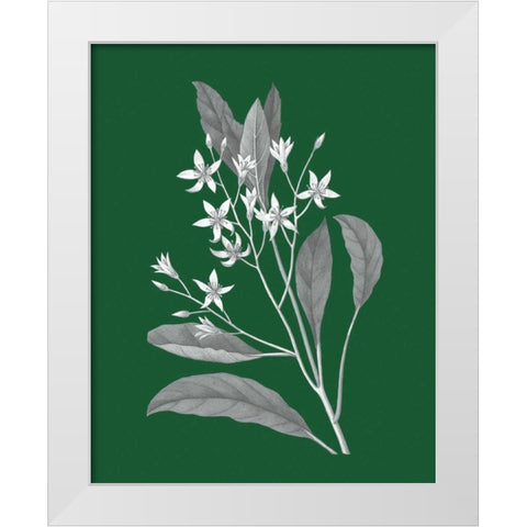 Green Botanical V White Modern Wood Framed Art Print by Wild Apple Portfolio