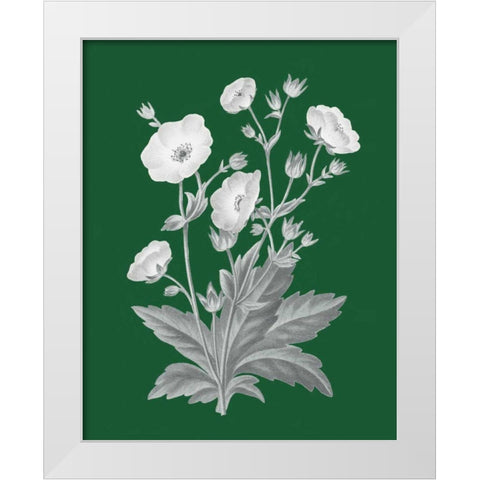 Green Botanical VI White Modern Wood Framed Art Print by Wild Apple Portfolio