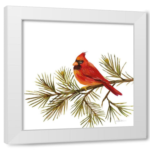Cardinal Christmas V on White White Modern Wood Framed Art Print by Vassileva, Silvia