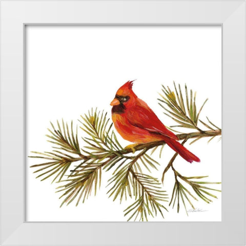Cardinal Christmas V on White White Modern Wood Framed Art Print by Vassileva, Silvia