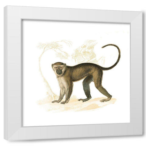 Golden Monkey White Modern Wood Framed Art Print by Wild Apple Portfolio