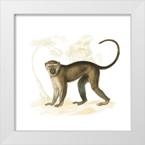 Golden Monkey White Modern Wood Framed Art Print by Wild Apple Portfolio