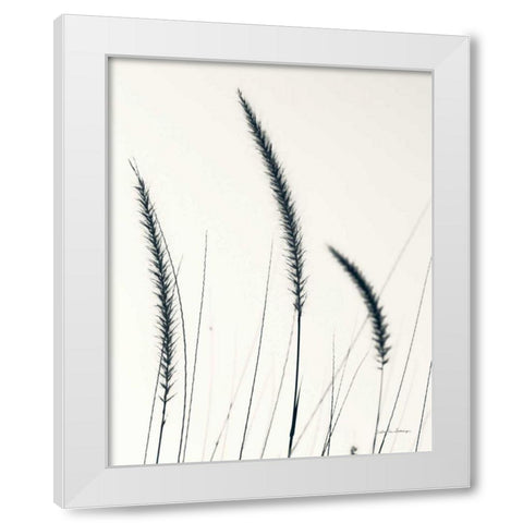 Field Grasses IV BW Crop White Modern Wood Framed Art Print by Van Swearingen, Debra