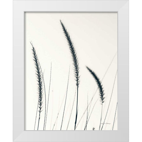Field Grasses IV BW Crop White Modern Wood Framed Art Print by Van Swearingen, Debra
