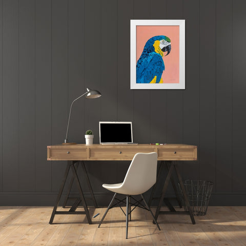 Blue and Gold Macaw White Modern Wood Framed Art Print by Munger, Pamela