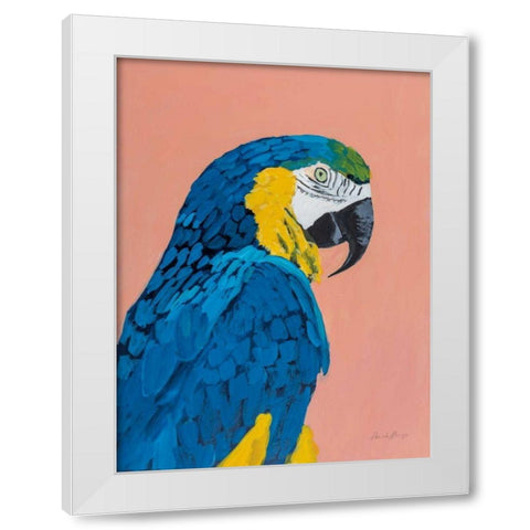 Blue and Gold Macaw White Modern Wood Framed Art Print by Munger, Pamela