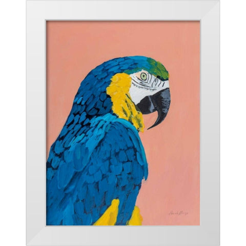 Blue and Gold Macaw White Modern Wood Framed Art Print by Munger, Pamela