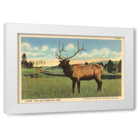 Elk I Crop White Modern Wood Framed Art Print by Wild Apple Portfolio