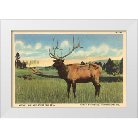 Elk I Crop White Modern Wood Framed Art Print by Wild Apple Portfolio