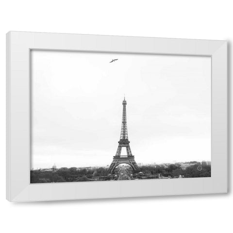A Birds View of Paris White Modern Wood Framed Art Print by Larson, Nathan