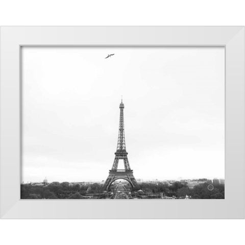 A Birds View of Paris White Modern Wood Framed Art Print by Larson, Nathan