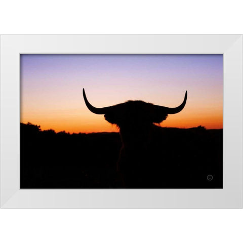 Bull Set White Modern Wood Framed Art Print by Larson, Nathan