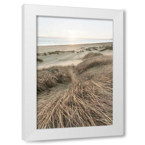 Beach Grasses White Modern Wood Framed Art Print by Majchrowicz, Alan