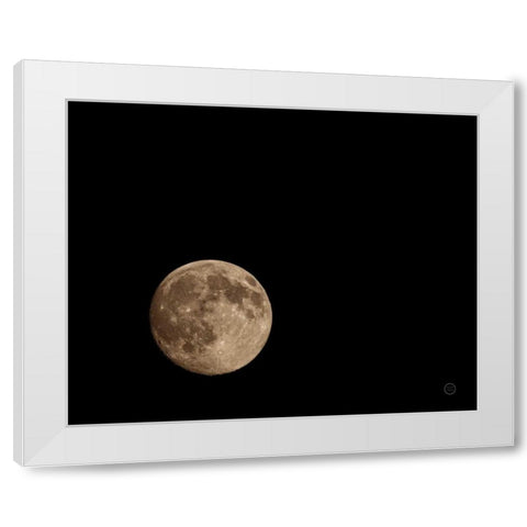 Moon Detail II White Modern Wood Framed Art Print by Larson, Nathan