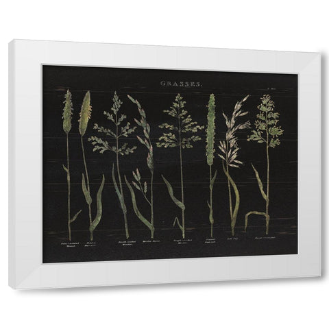 Herbal Botanical VII Black Wood White Modern Wood Framed Art Print by Wild Apple Portfolio