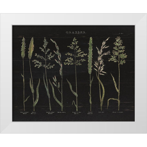 Herbal Botanical VII Black Wood White Modern Wood Framed Art Print by Wild Apple Portfolio