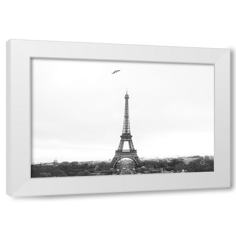A Birds View of Paris Crop I White Modern Wood Framed Art Print by Larson, Nathan