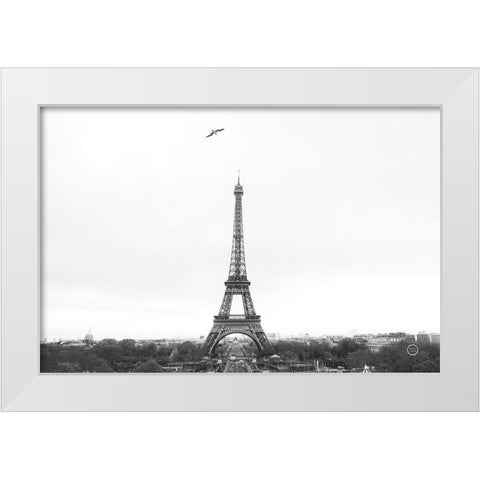 A Birds View of Paris Crop I White Modern Wood Framed Art Print by Larson, Nathan