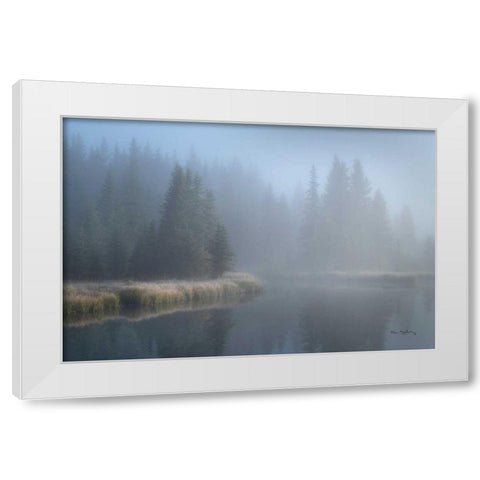 Grand Teton Lake Fog White Modern Wood Framed Art Print by Majchrowicz, Alan