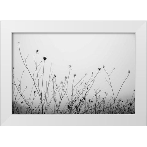 Autumn Grasses White Modern Wood Framed Art Print by Aledanda