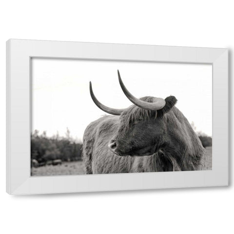On the Ranch I No Tag White Modern Wood Framed Art Print by Eichman, Andre