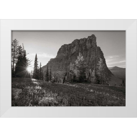 Boulder Pass Glacier National Park BW White Modern Wood Framed Art Print by Majchrowicz, Alan