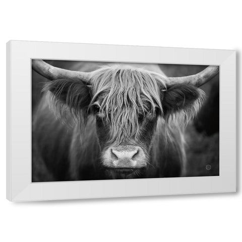 Cow Nose BW White Modern Wood Framed Art Print by Larson, Nathan