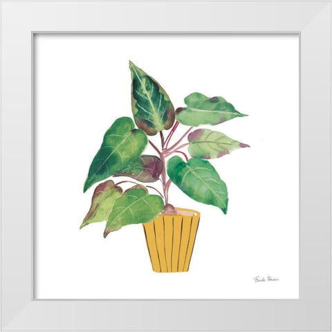 Potted Jewels IV White Modern Wood Framed Art Print by Zaman, Farida