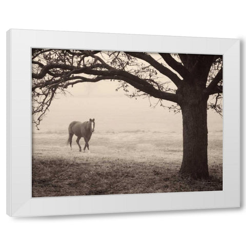 Hazy Horse I White Modern Wood Framed Art Print by Van Swearingen, Debra