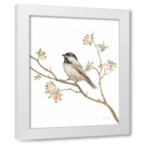 Black Capped Chickadee v2 on White White Modern Wood Framed Art Print by Nai, Danhui