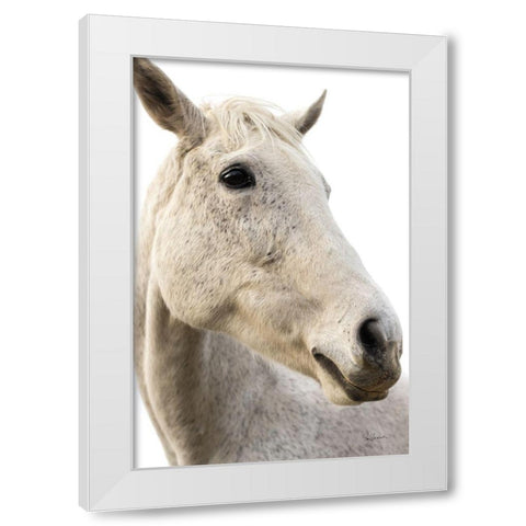 A Horse Named Lady II White Modern Wood Framed Art Print by Schlabach, Sue