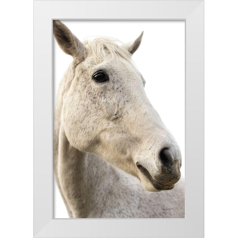 A Horse Named Lady II White Modern Wood Framed Art Print by Schlabach, Sue