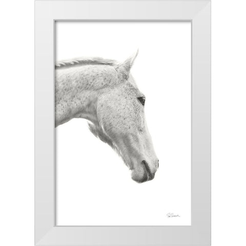 A Horse Named Lady I BW White Modern Wood Framed Art Print by Schlabach, Sue