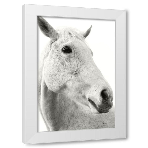 A Horse Named Lady II BW White Modern Wood Framed Art Print by Schlabach, Sue